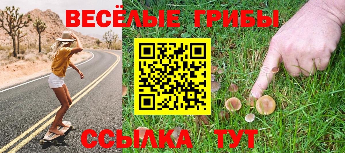 Сосновый Бор  Псилоцибиновые грибы GOLDEN TEACHER  Вход с VPN  купить наркотик  Псилоцибиновые грибы мицелий 